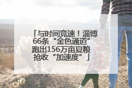 与时间竞速！淄博66条“金色通道”跑出156万亩夏粮抢收“加速度”