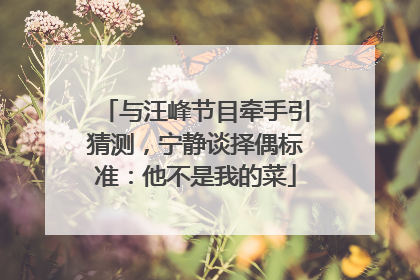 与汪峰节目牵手引猜测，宁静谈择偶标准：他不是我的菜