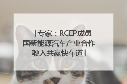专家：RCEP成员国新能源汽车产业合作驶入共赢快车道