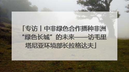 专访丨中非绿色合作播种非洲“绿色长城”的未来——访毛里塔尼亚环境部长拉格达夫