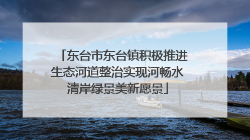 东台市东台镇积极推进生态河道整治实现河畅水清岸绿景美新愿景