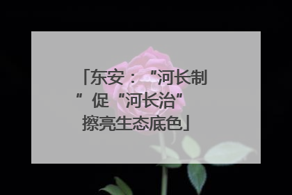 东安：“河长制”促“河长治” 擦亮生态底色
