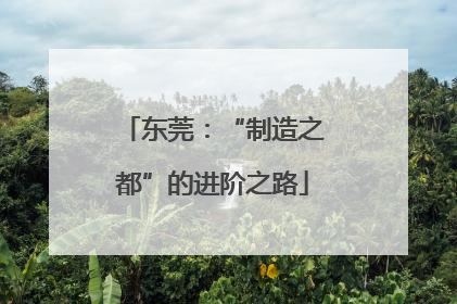 东莞：“制造之都”的进阶之路