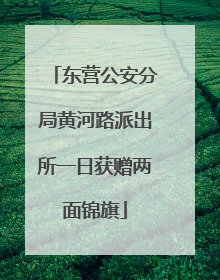 东营公安分局黄河路派出所一日获赠两面锦旗