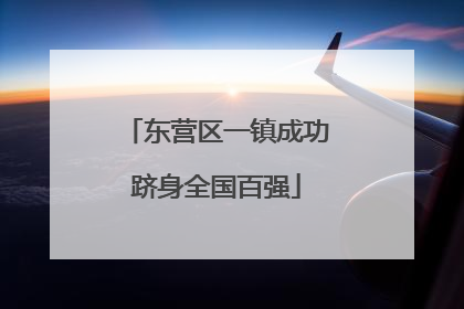 东营区一镇成功跻身全国百强