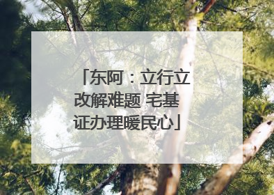 东阿：立行立改解难题 宅基证办理暖民心