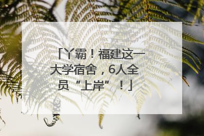 丫霸！福建这一大学宿舍，6人全员“上岸”！