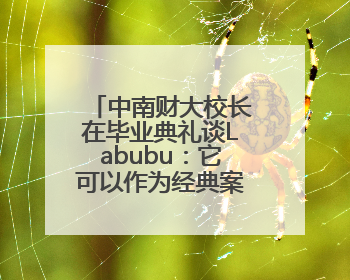 中南财大校长在毕业典礼谈Labubu：它可以作为经典案例来解析，AI难以给出答案
