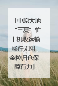中原大地“三夏”忙丨机收运输畅行无阻 金粒归仓保障有力