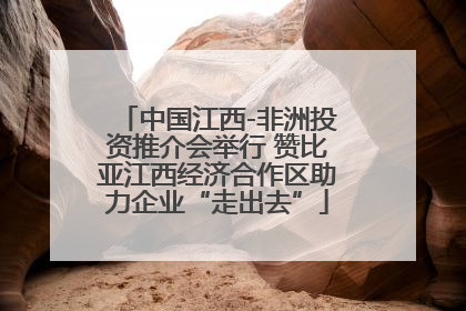中国江西-非洲投资推介会举行 赞比亚江西经济合作区助力企业“走出去”