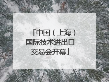 中国（上海）国际技术进出口交易会开幕