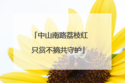 中山南路荔枝红 只赏不摘共守护