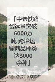 中老铁路货运量突破6000万吨 跨境运输商品种类达3000余种
