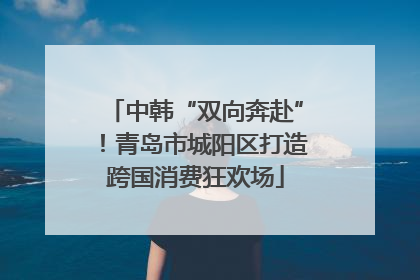 中韩“双向奔赴”！青岛市城阳区打造跨国消费狂欢场