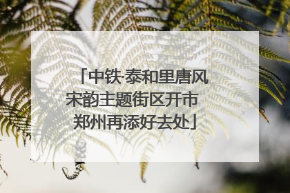 中铁·泰和里唐风宋韵主题街区开市 郑州再添好去处