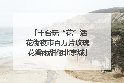 丰台玩“花”活 花街夜市百万片玫瑰花瓣雨甜翻北京城