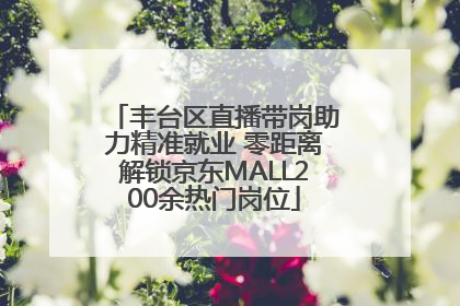 丰台区直播带岗助力精准就业 零距离解锁京东MALL200余热门岗位