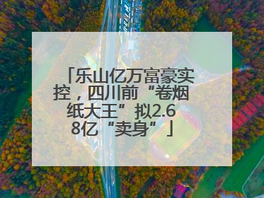 乐山亿万富豪实控，四川前“卷烟纸大王”拟2.68亿“卖身”