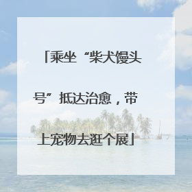 乘坐“柴犬馒头号”抵达治愈，带上宠物去逛个展