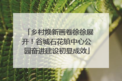 乡村焕新画卷徐徐展开！谷城石花镇中心公园奋进建设初显成效