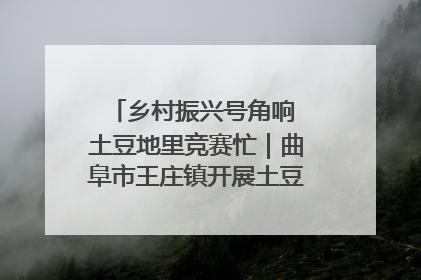 乡村振兴号角响 土豆地里竞赛忙｜曲阜市王庄镇开展土豆收获劳动竞赛