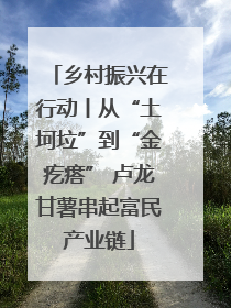 乡村振兴在行动丨从“土坷垃”到“金疙瘩” 卢龙甘薯串起富民产业链