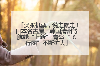 买张机票，说走就走！日本名古屋、韩国清州等航线“上新” 青岛“飞行圈”不断扩大