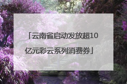 云南省启动发放超10亿元彩云系列消费券