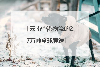 云南空港物流的27万吨全球竞速