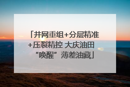 井网重组+分层精准+压裂精控 大庆油田“唤醒”薄差油藏