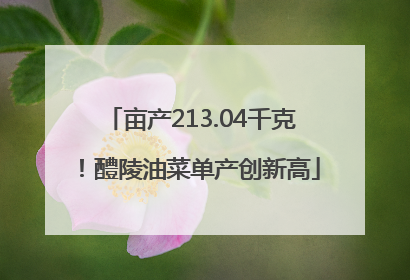 亩产213.04千克！醴陵油菜单产创新高