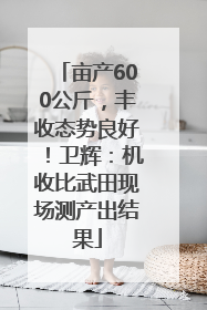 亩产600公斤，丰收态势良好！卫辉：机收比武田现场测产出结果