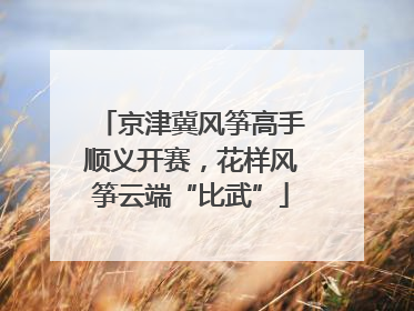京津冀风筝高手顺义开赛，花样风筝云端“比武”