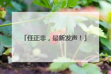 任正非，最新发声！