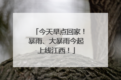 今天早点回家！暴雨、大暴雨今起上线江西！