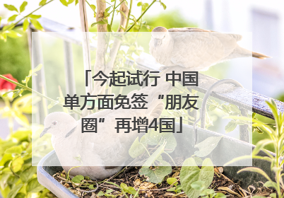 今起试行 中国单方面免签“朋友圈”再增4国