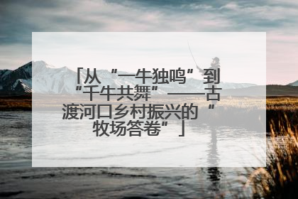 从“一牛独鸣”到“千牛共舞”——古渡河口乡村振兴的“牧场答卷”