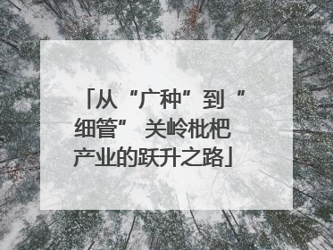 从“广种”到“细管” 关岭枇杷产业的跃升之路