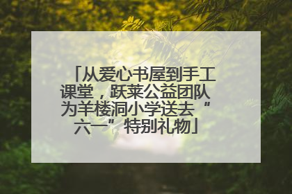 从爱心书屋到手工课堂，跃莱公益团队为羊楼洞小学送去“六一”特别礼物