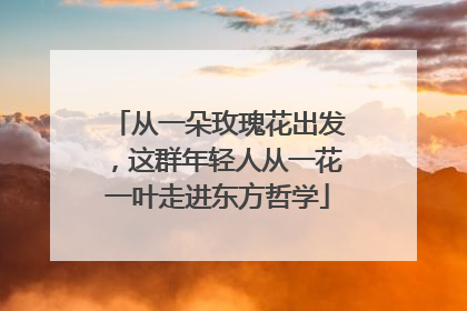 从一朵玫瑰花出发，这群年轻人从一花一叶走进东方哲学