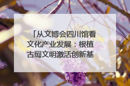 从文博会四川馆看文化产业发展：根植古蜀文明激活创新基因｜文博向“新”