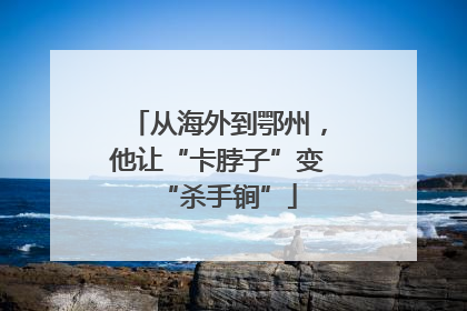 从海外到鄂州，他让“卡脖子”变“杀手锏”