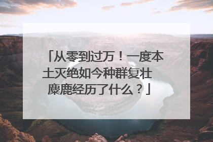 从零到过万！一度本土灭绝如今种群复壮 麋鹿经历了什么？