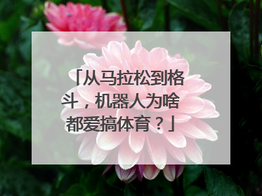从马拉松到格斗，机器人为啥都爱搞体育？