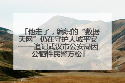 他走了，编织的“数据天网”仍在守护大城平安——追记武汉市公安局因公牺牲民警万松