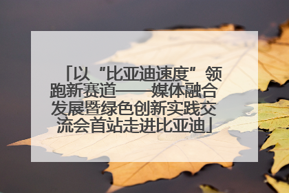 以“比亚迪速度”领跑新赛道——媒体融合发展暨绿色创新实践交流会首站走进比亚迪
