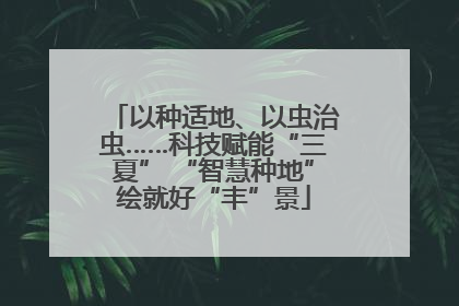 以种适地、以虫治虫……科技赋能“三夏” “智慧种地”绘就好“丰”景