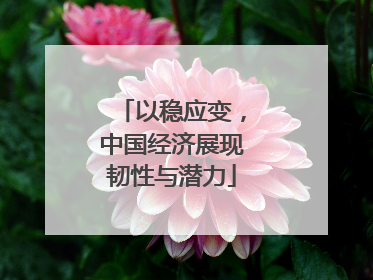 以稳应变，中国经济展现韧性与潜力