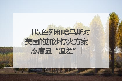 以色列和哈马斯对美国的加沙停火方案态度显“温差”