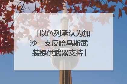 以色列承认为加沙一支反哈马斯武装提供武器支持